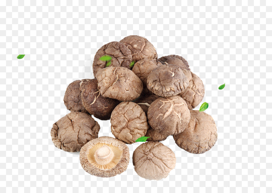 Hongos Shiitake，Montón PNG