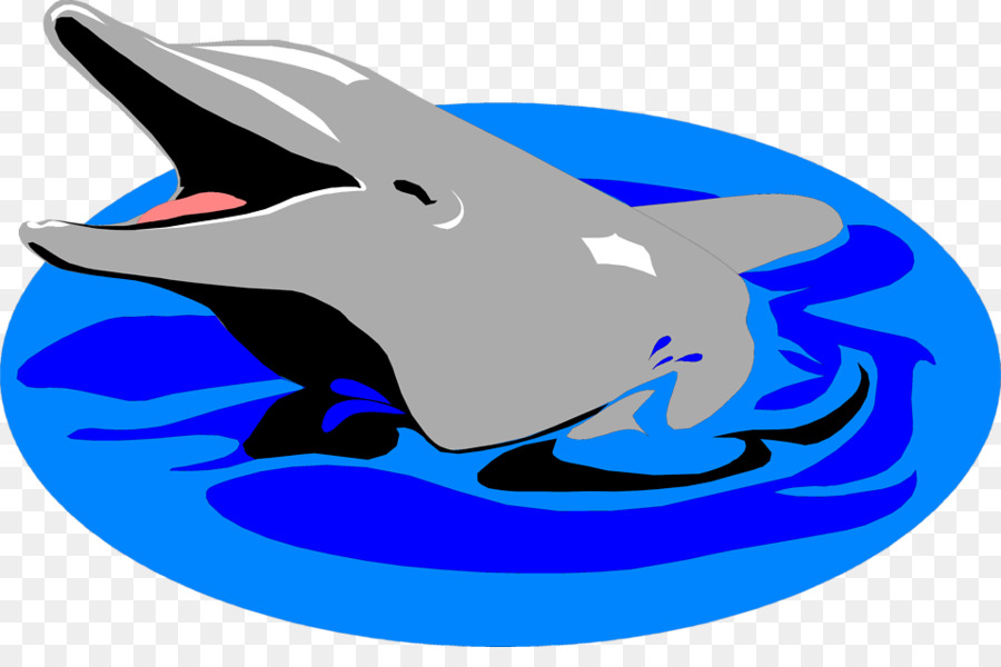 Dolphin，El Delfín Nariz De Botella PNG