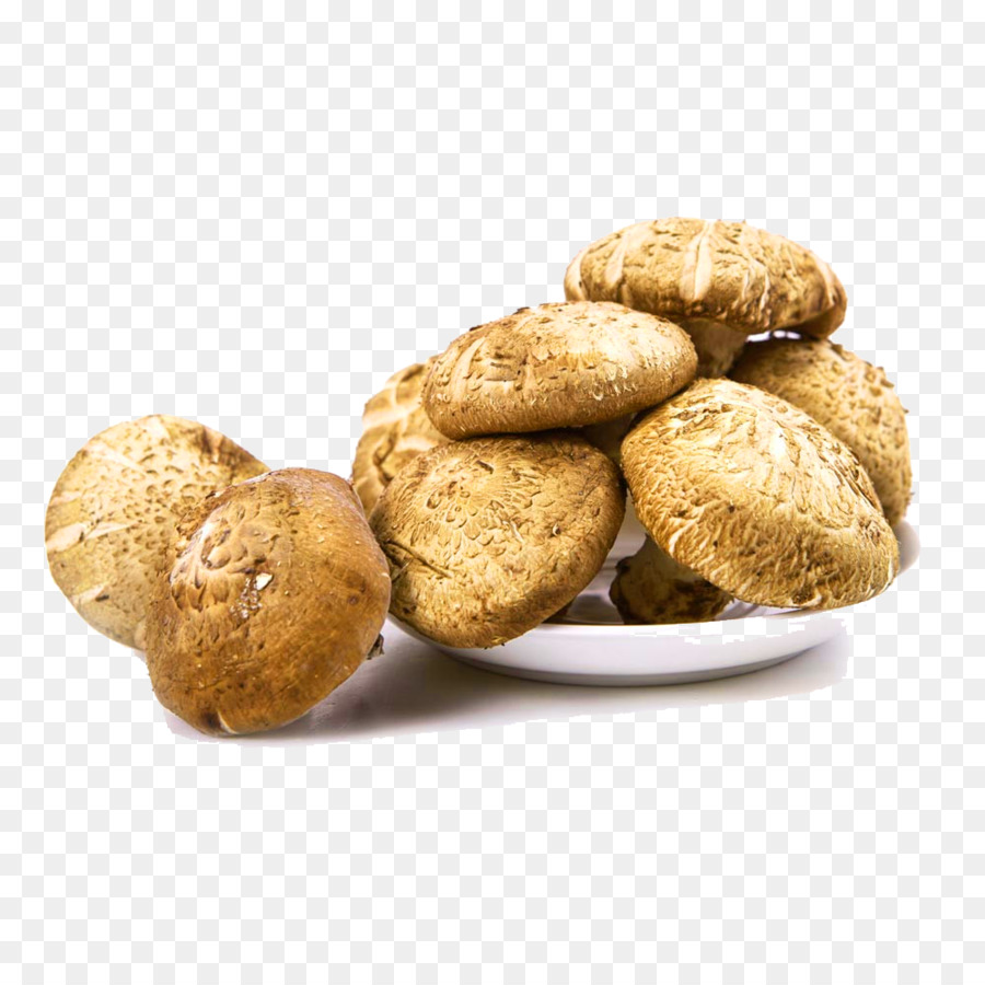 Shiitake，Seta PNG