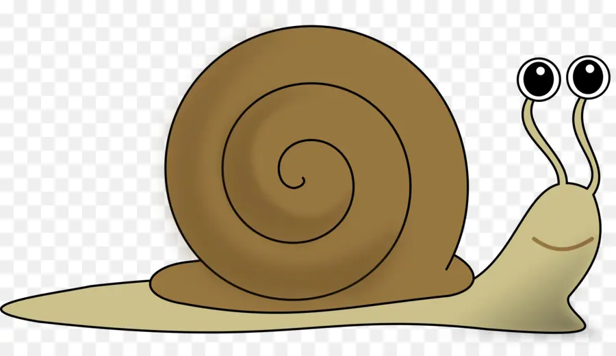 Caracol，Gasterópodo De Concha PNG