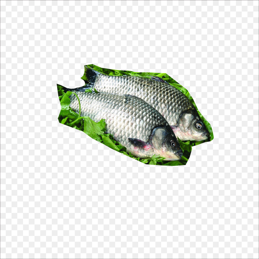 Rebanada De Pescado，Carpa Común PNG