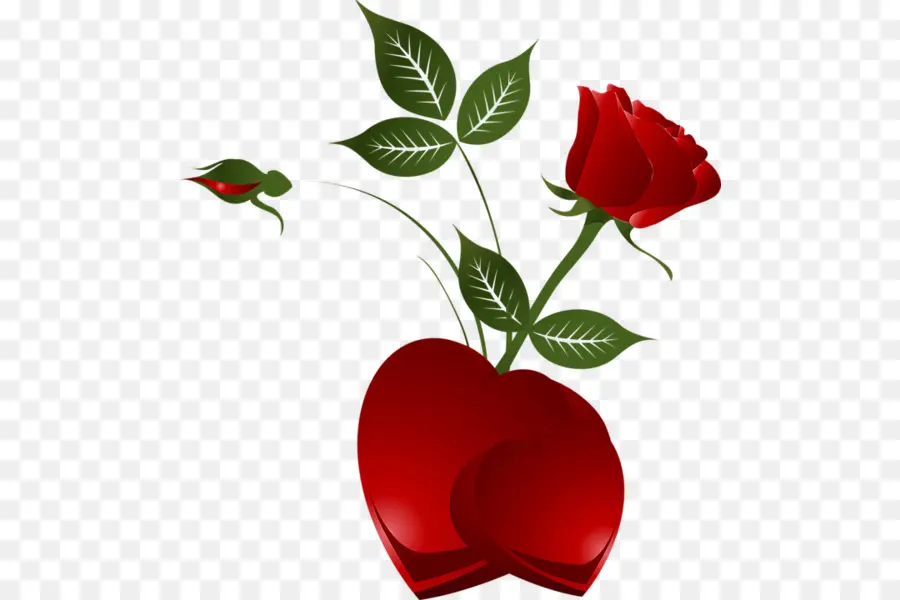 Rosa Roja Y Corazón，Hojas PNG