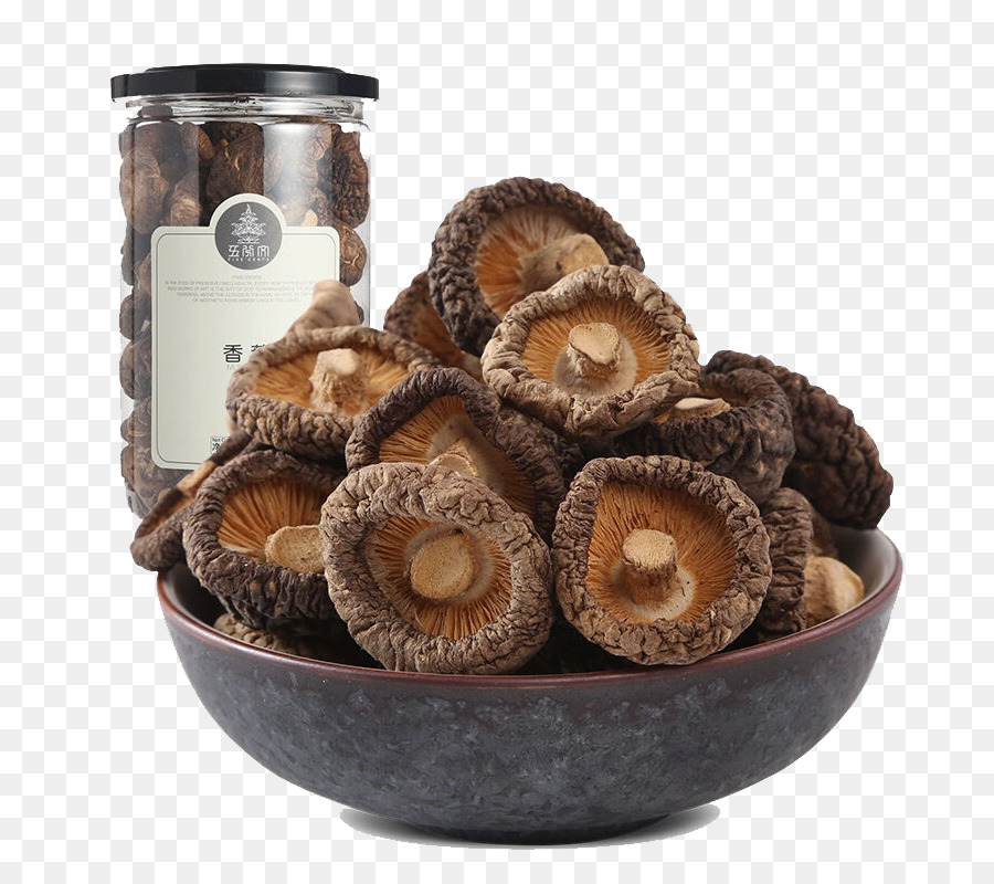 Shiitake，Seta PNG