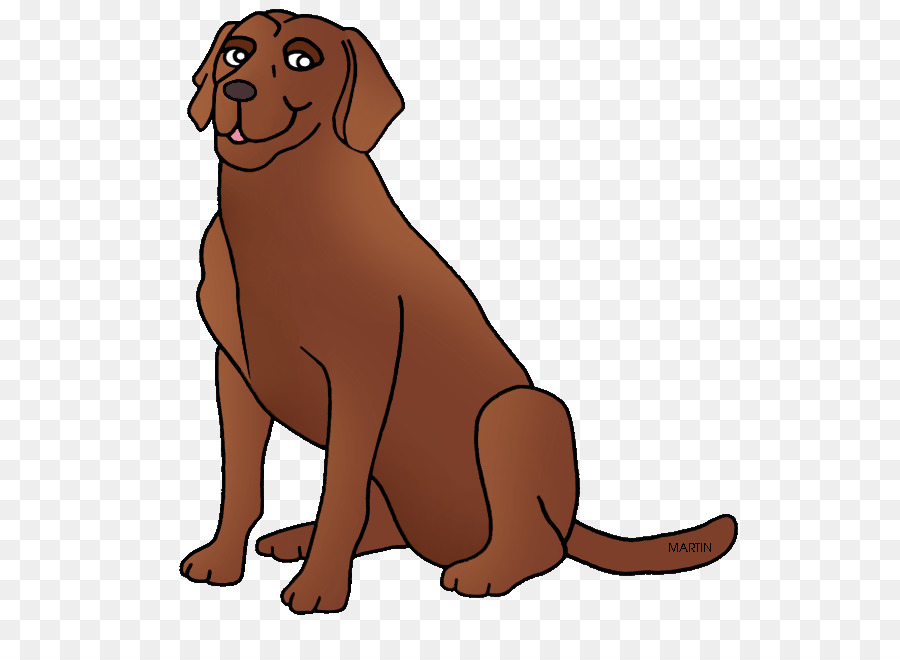 La Bahía De Chesapeake，Chesapeake Bay Retriever PNG