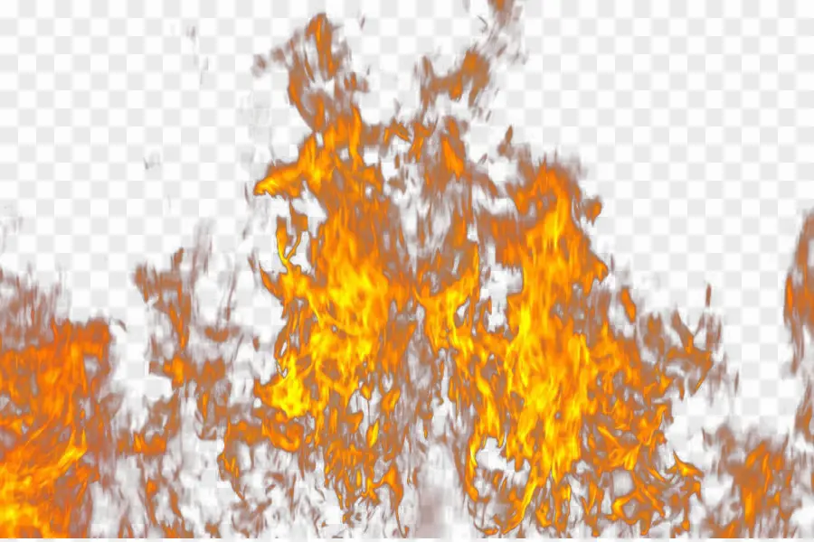 Fuego，Llama PNG