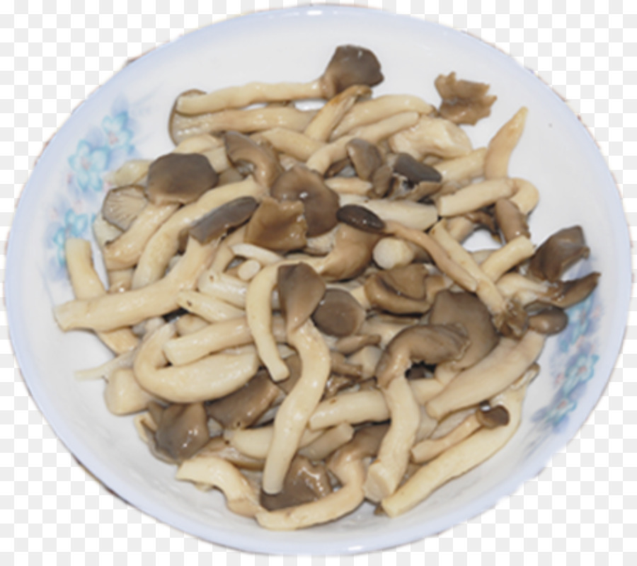 Seta Ostra，Pleurotus Eryngii PNG