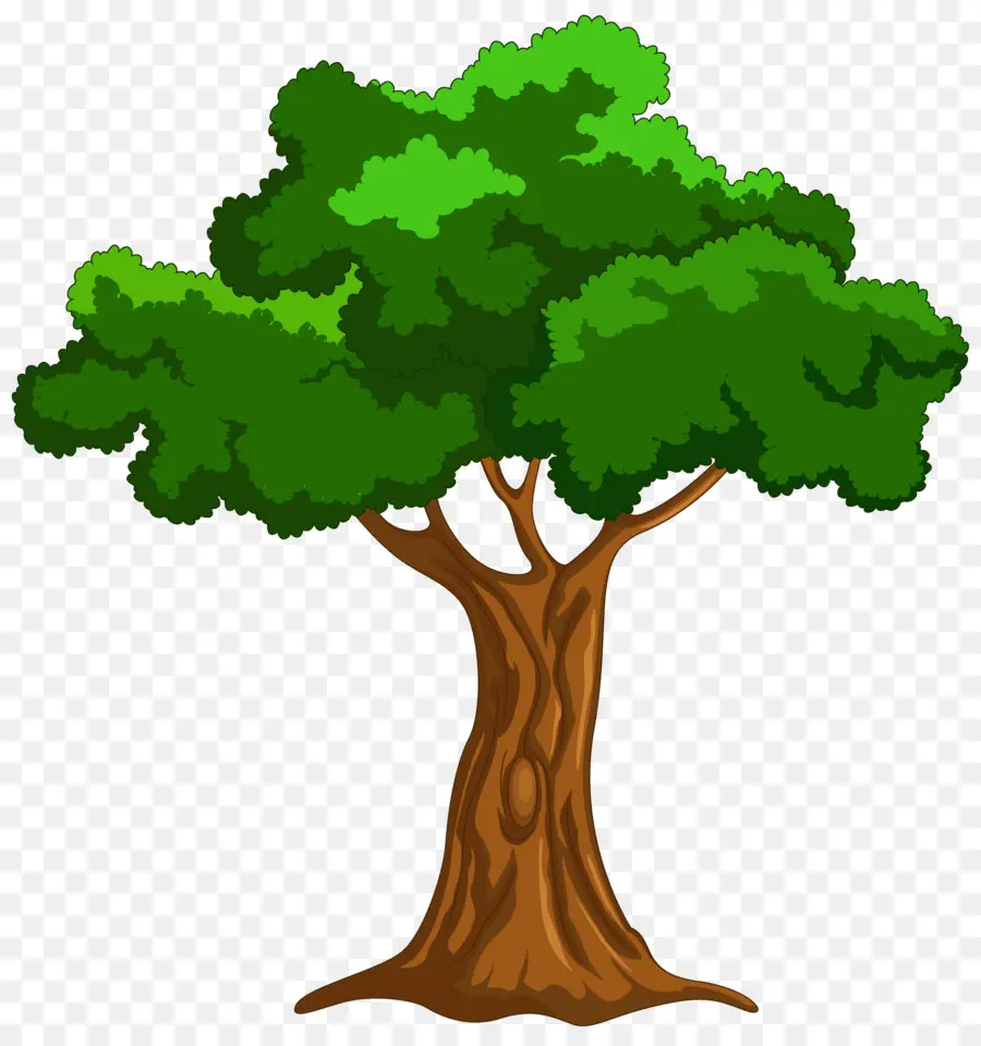 árbol，De Dibujos Animados PNG