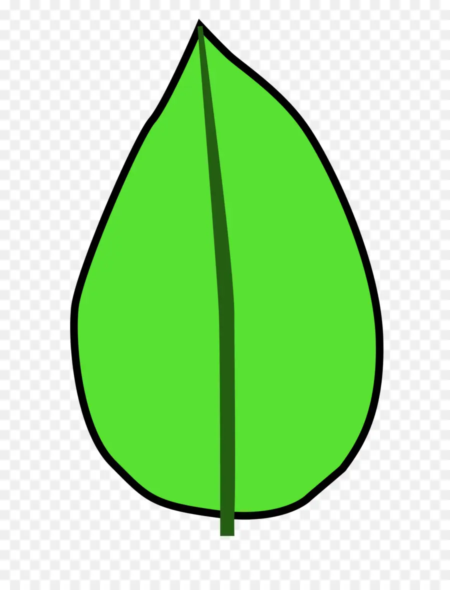 Hoja，Verde PNG