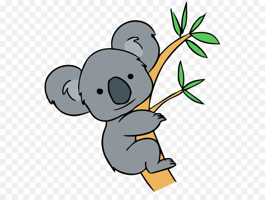 Koala，Libre De Contenido PNG