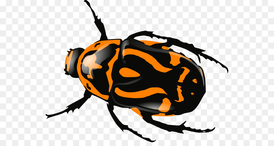 Escarabajo，Iconos De Equipo PNG