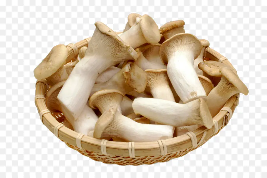 Pleurotus Eryngii，Cocina Japonesa PNG