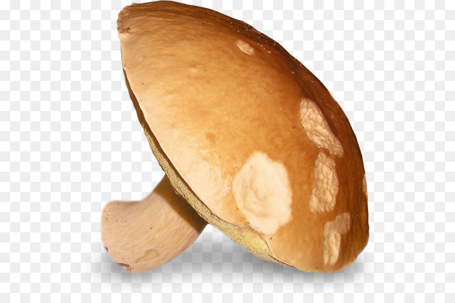 Champiñón，Hongo PNG