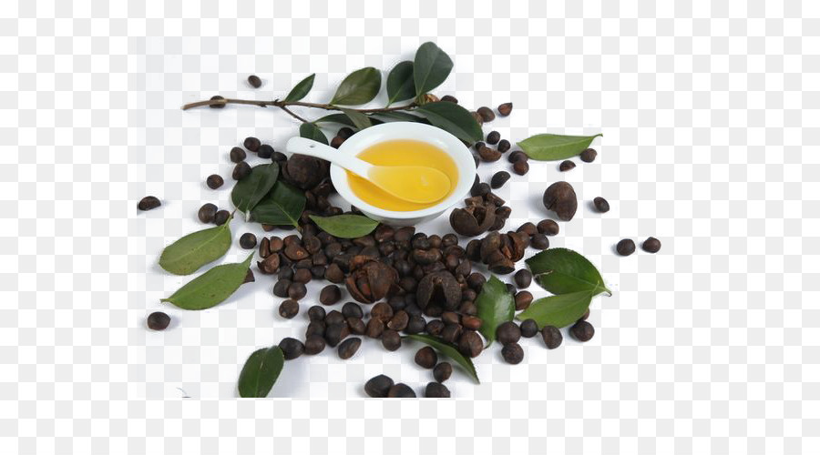 Té，Aceite De Semillas De Té PNG