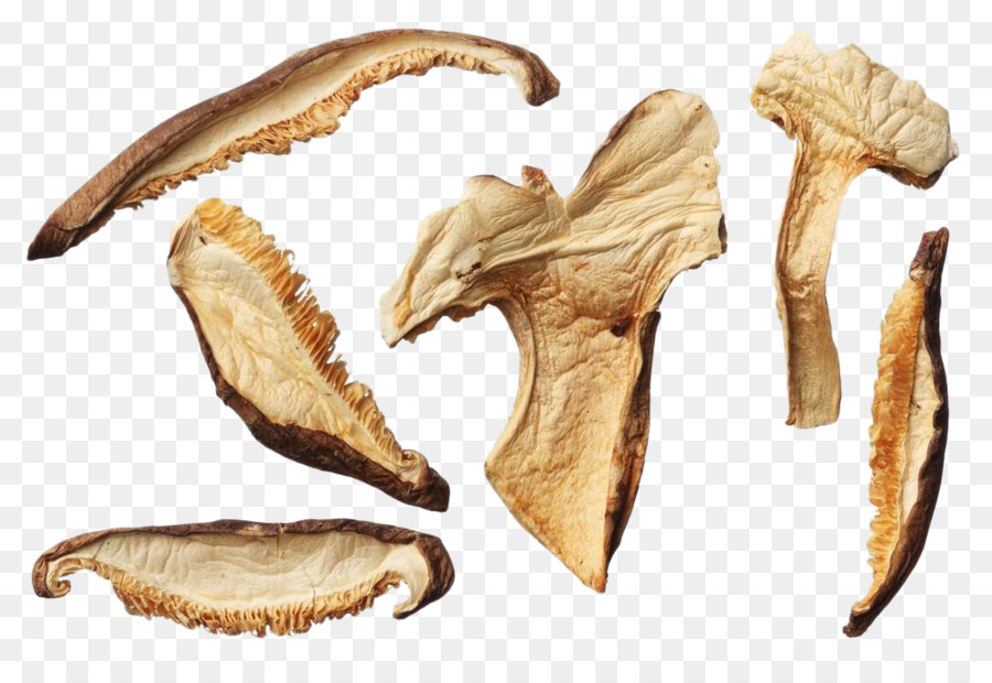 Shiitake，Seta Comestible PNG