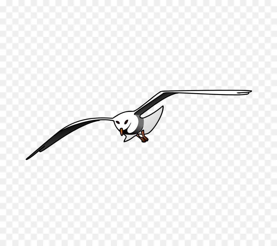 Gaviota Volando，Pájaro PNG