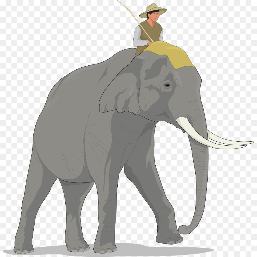 Elefante Con Jinete，Hombre PNG