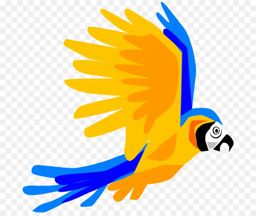 Parrot，Pájaro PNG