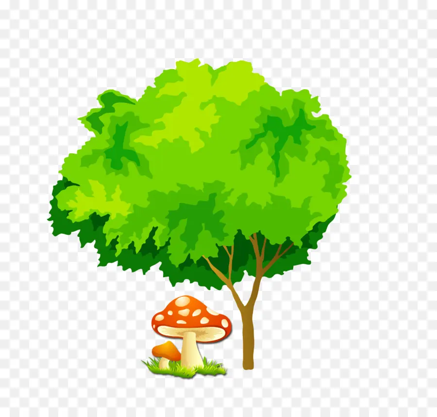 árbol，De Dibujos Animados PNG