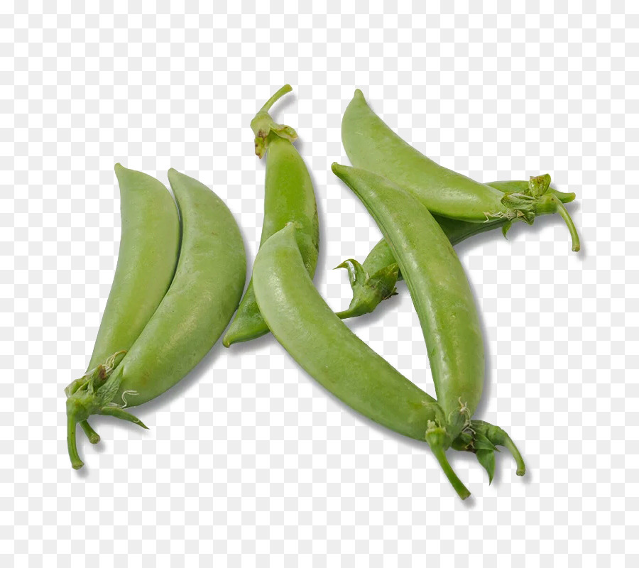 Okra，Verde PNG