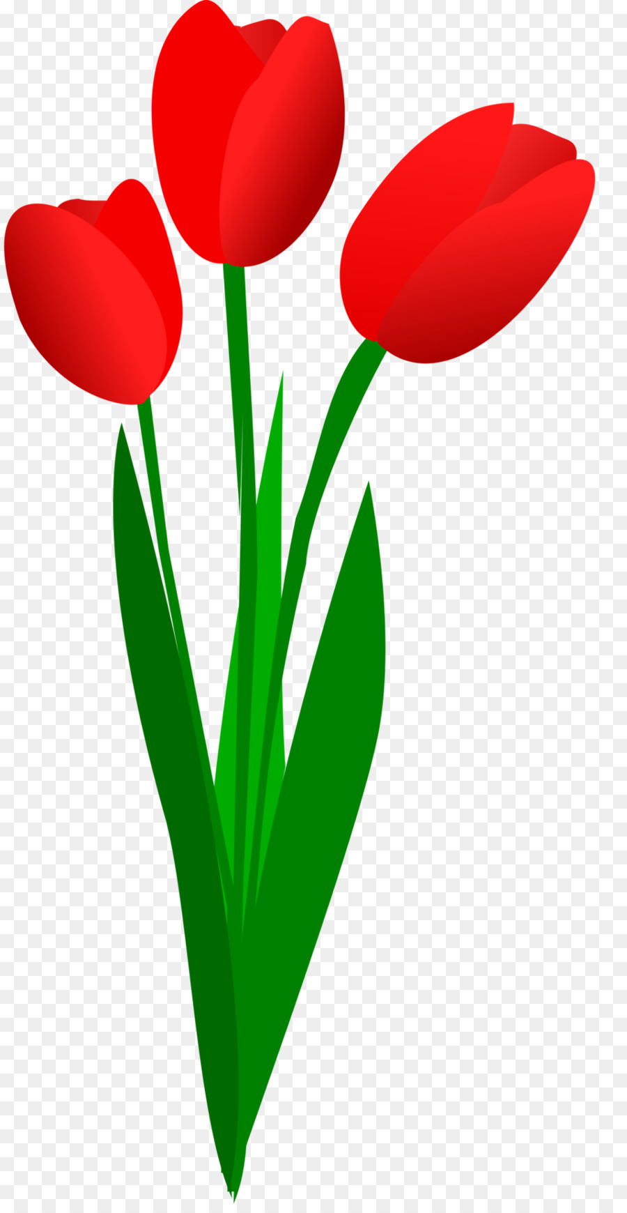 Flor，Rojo PNG