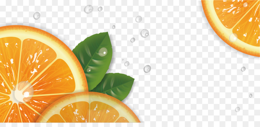 Fruta Naranja，Hojas PNG