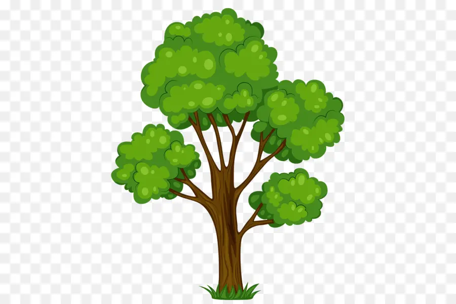 árbol Verde，Árbol PNG