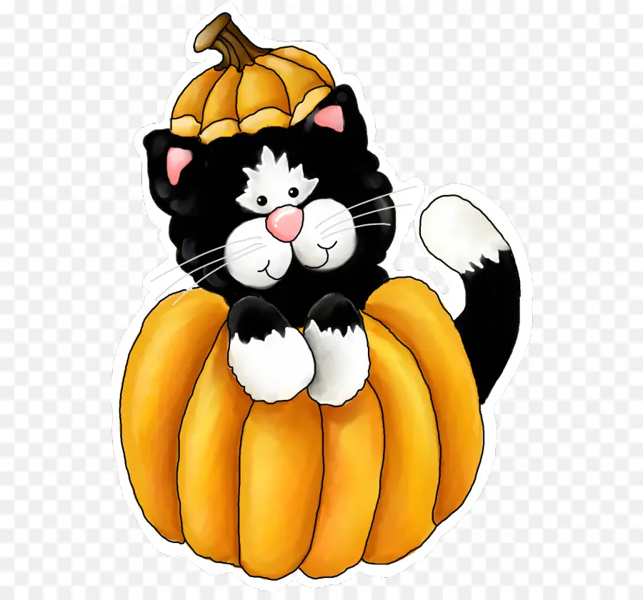 Gato En Calabaza，Víspera De Todos Los Santos PNG