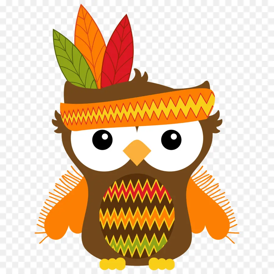 Búho，Plumas PNG