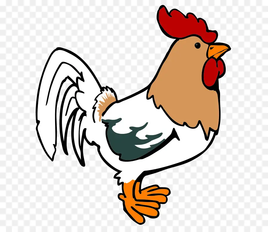 Pollo，Gallina PNG