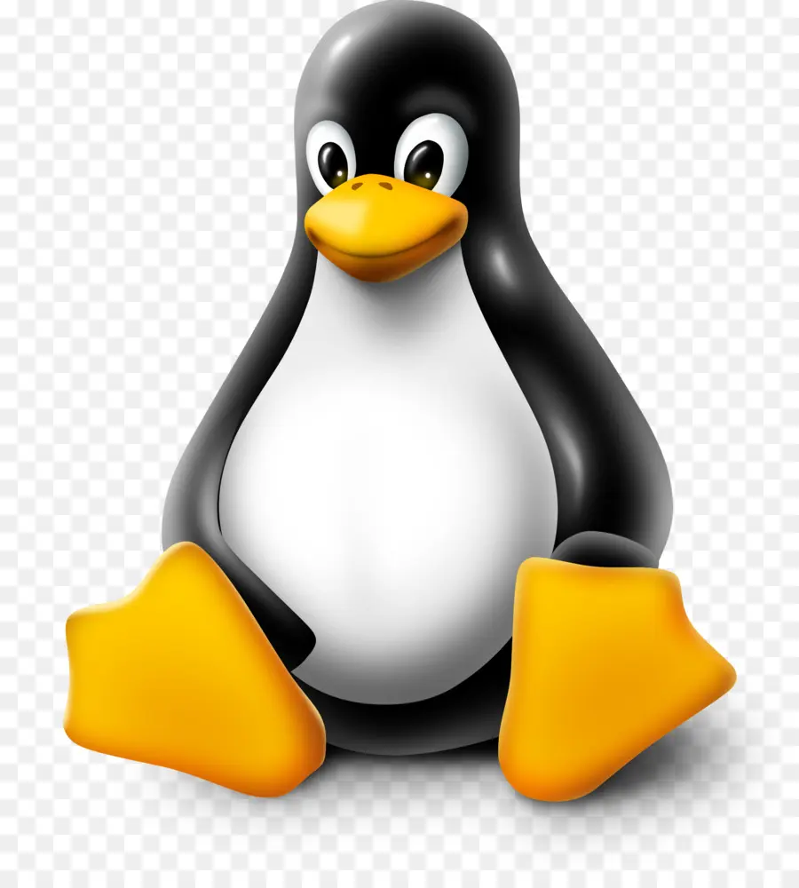 Pingüino，Dibujos Animados PNG