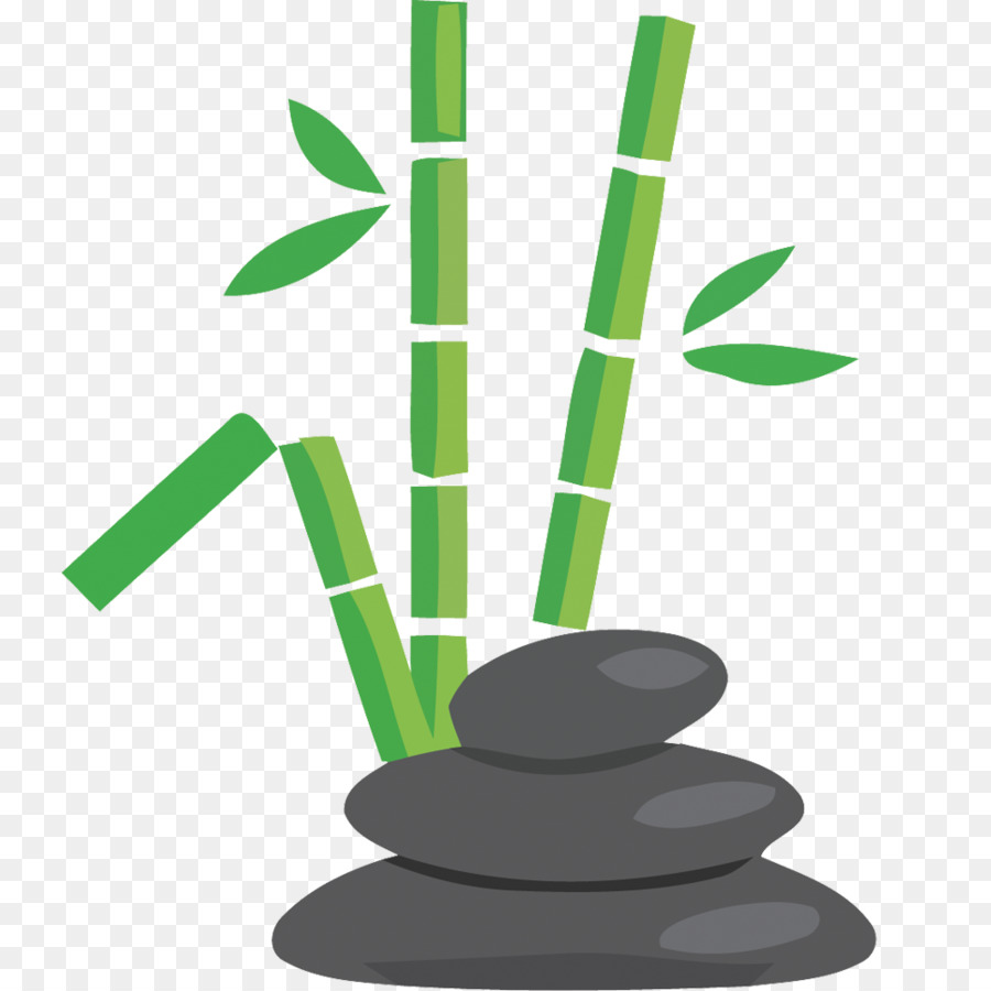 Bambú Y Piedras，Zen PNG