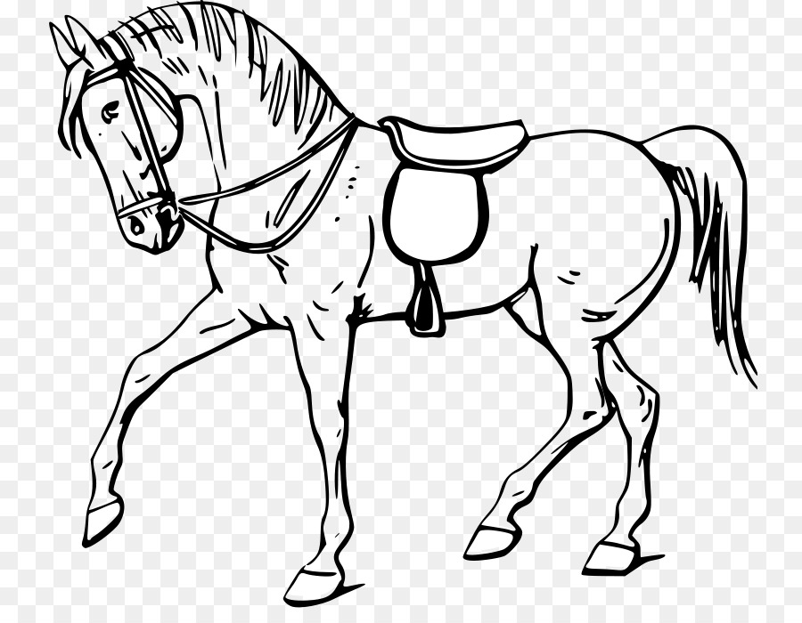 Caballo，Bosquejo PNG