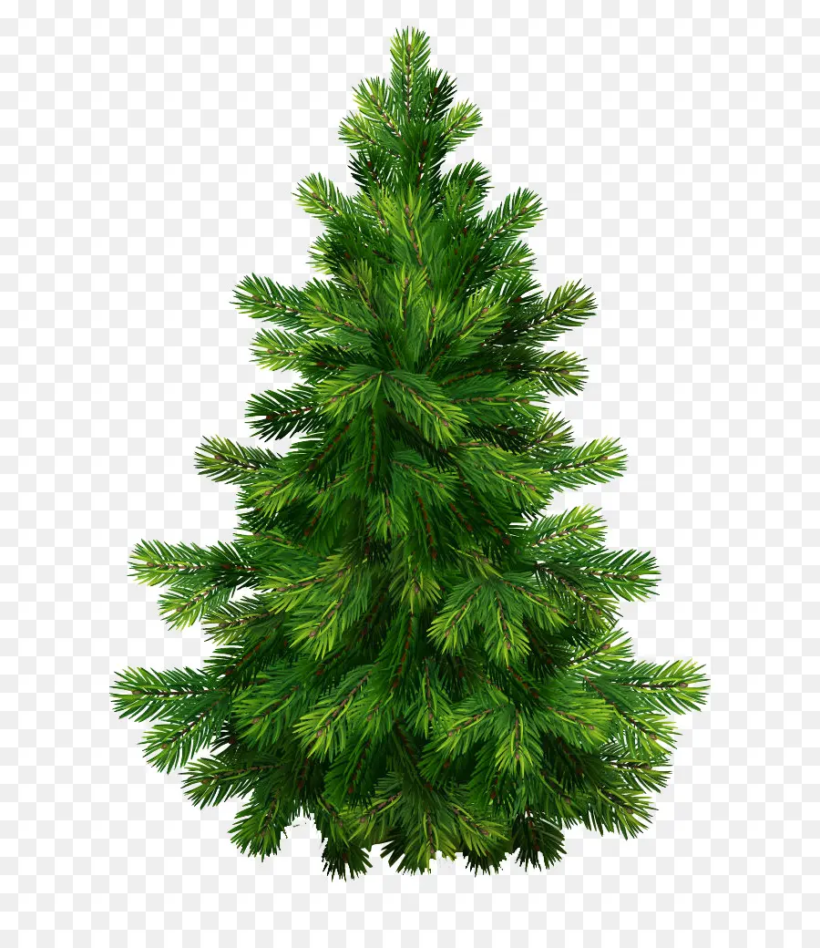 Pino，árbol De Navidad PNG