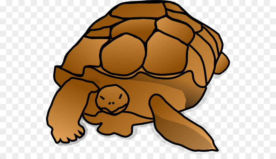 Tortuga，Reptiles PNG