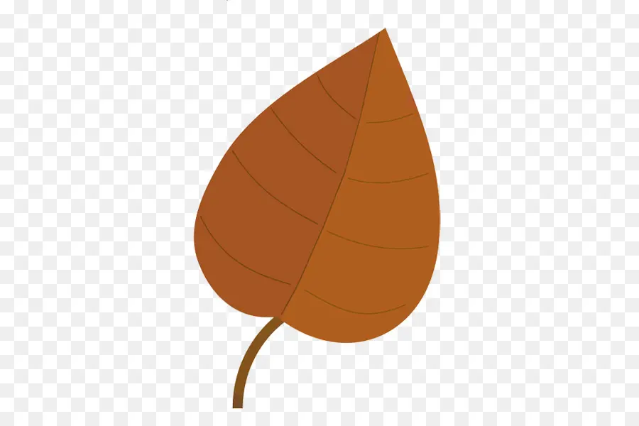 Color De La Hoja De Otoño，Hoja PNG