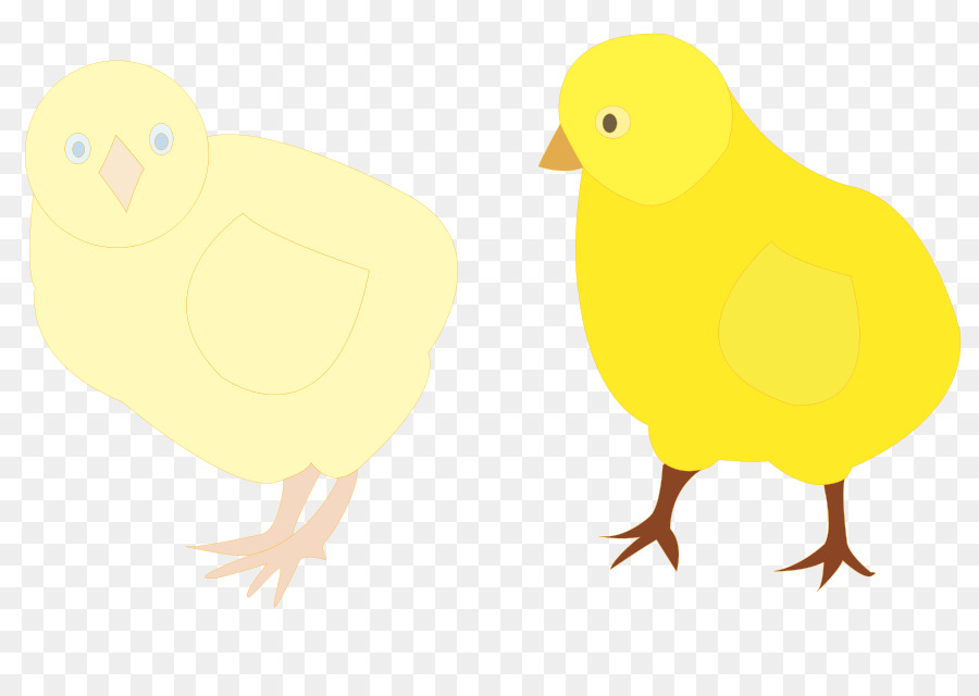 Pájaros Amarillos，Aves PNG