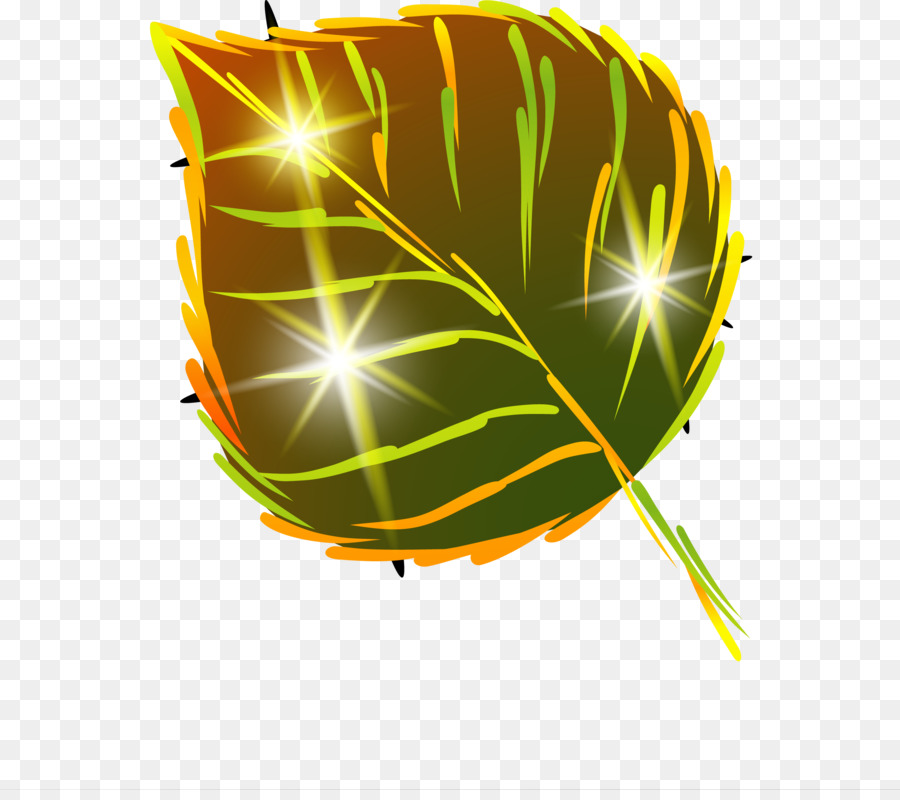 Hoja，Otoño PNG