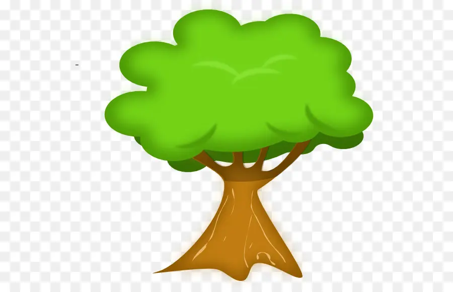 Árbol，Planta PNG