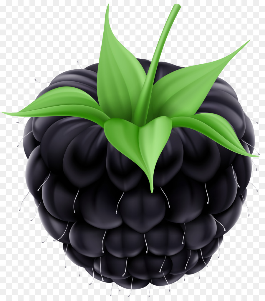 Blackberry，La Fruta PNG