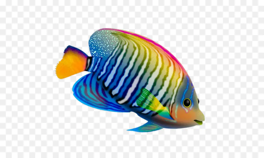 Fondo De Escritorio，Los Peces PNG