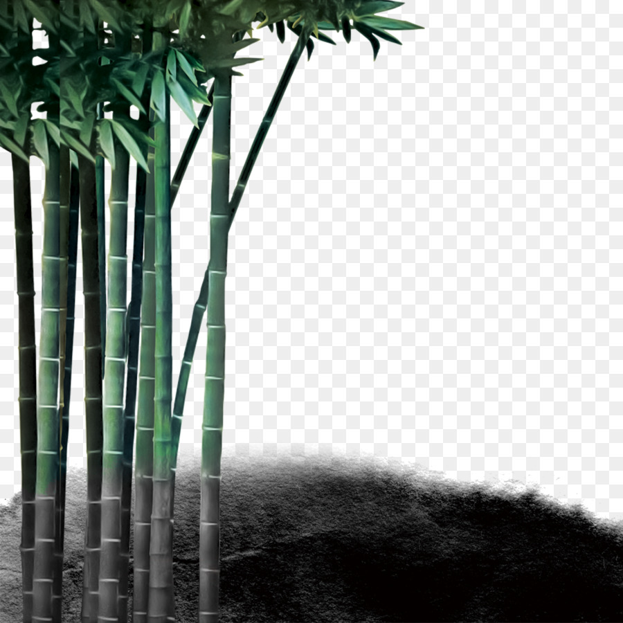 Bambú，Reversión De Cine PNG