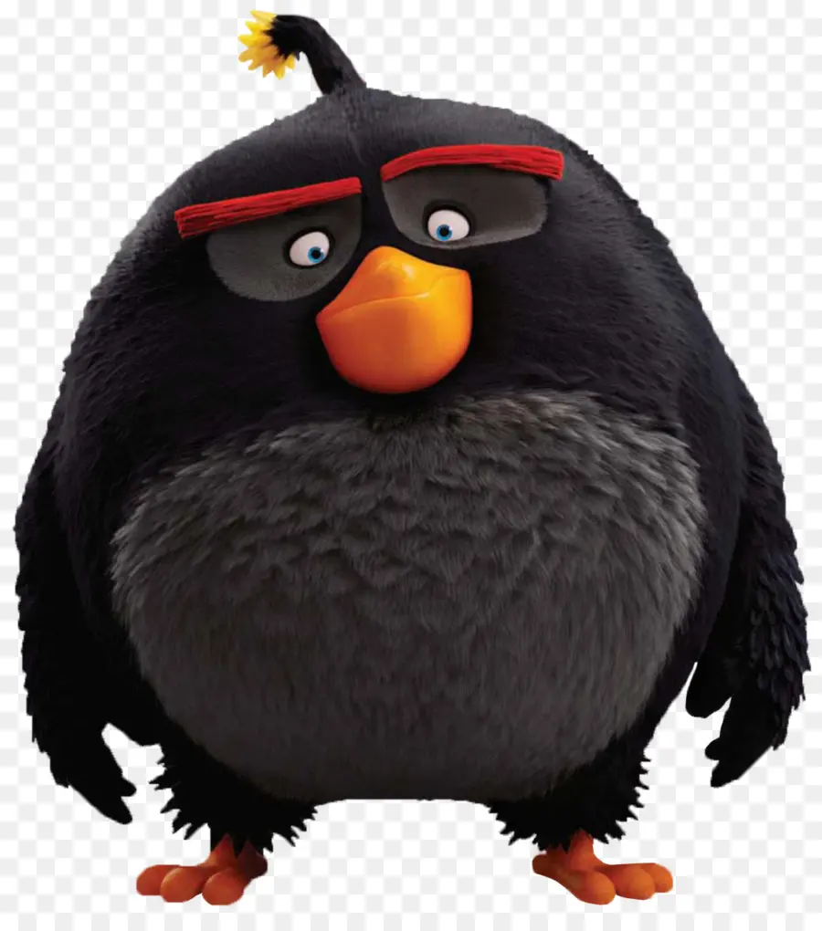 Angry Birds Epic，Angry Birds Evolución PNG