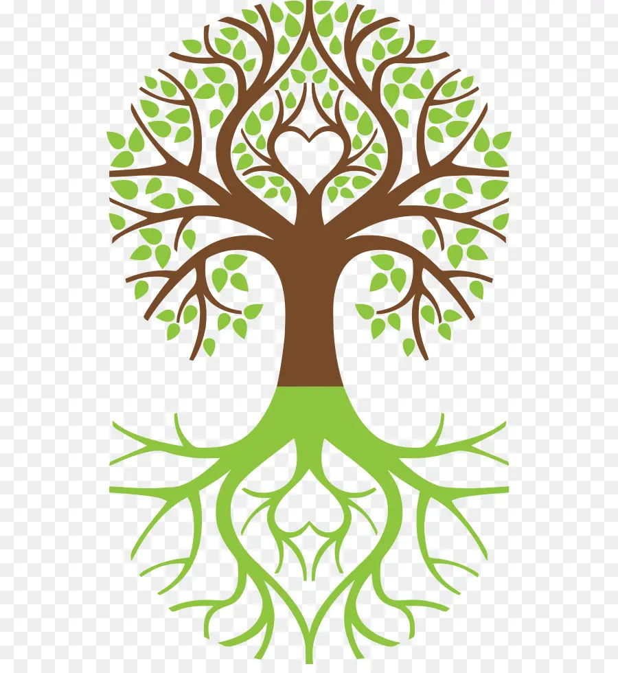 árbol，árbol De La Vida PNG