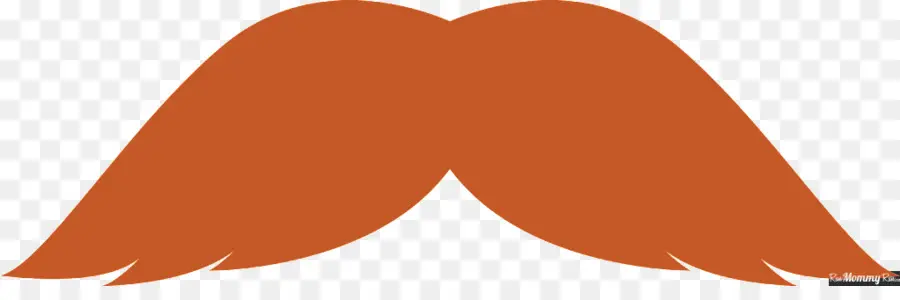 Bigote Naranja，Vello Facial PNG