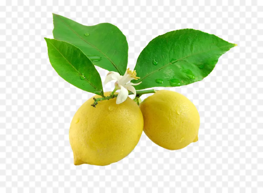 Limón，Amarillo PNG