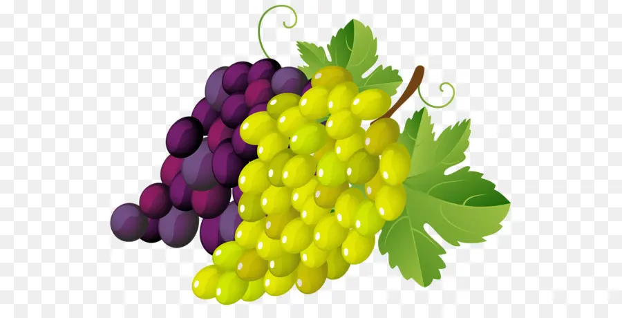 Común De La Uva De La Vid，Vino PNG