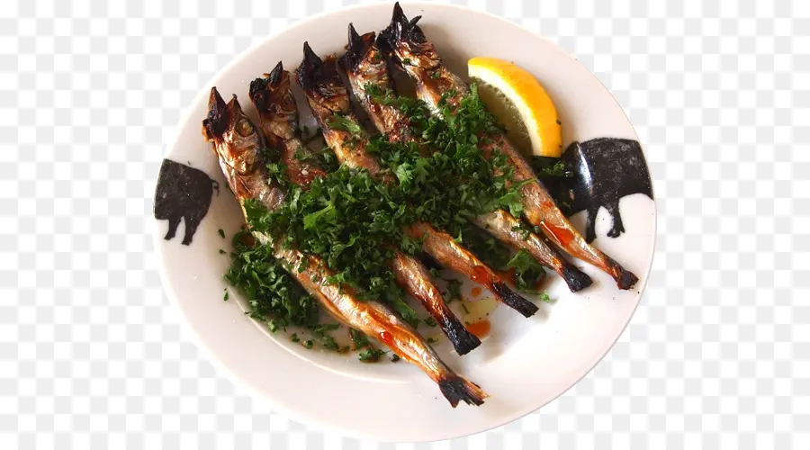 Pescado Frito，Sakana PNG