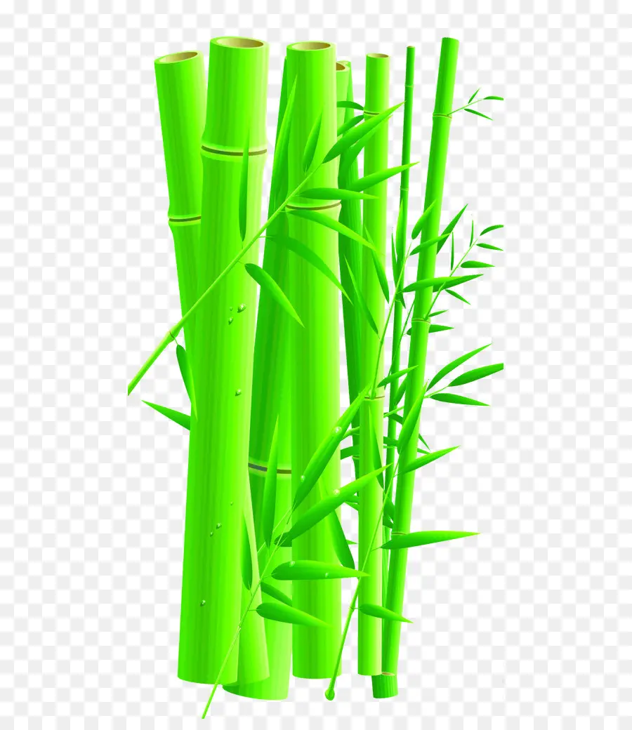 Bambú，De Dibujos Animados PNG