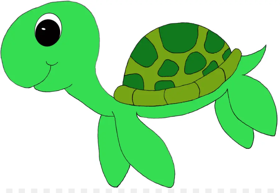 Tortuga，Tortuga De Mar PNG