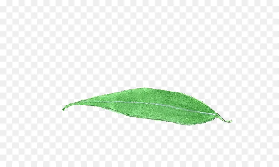 Hoja，Planta PNG